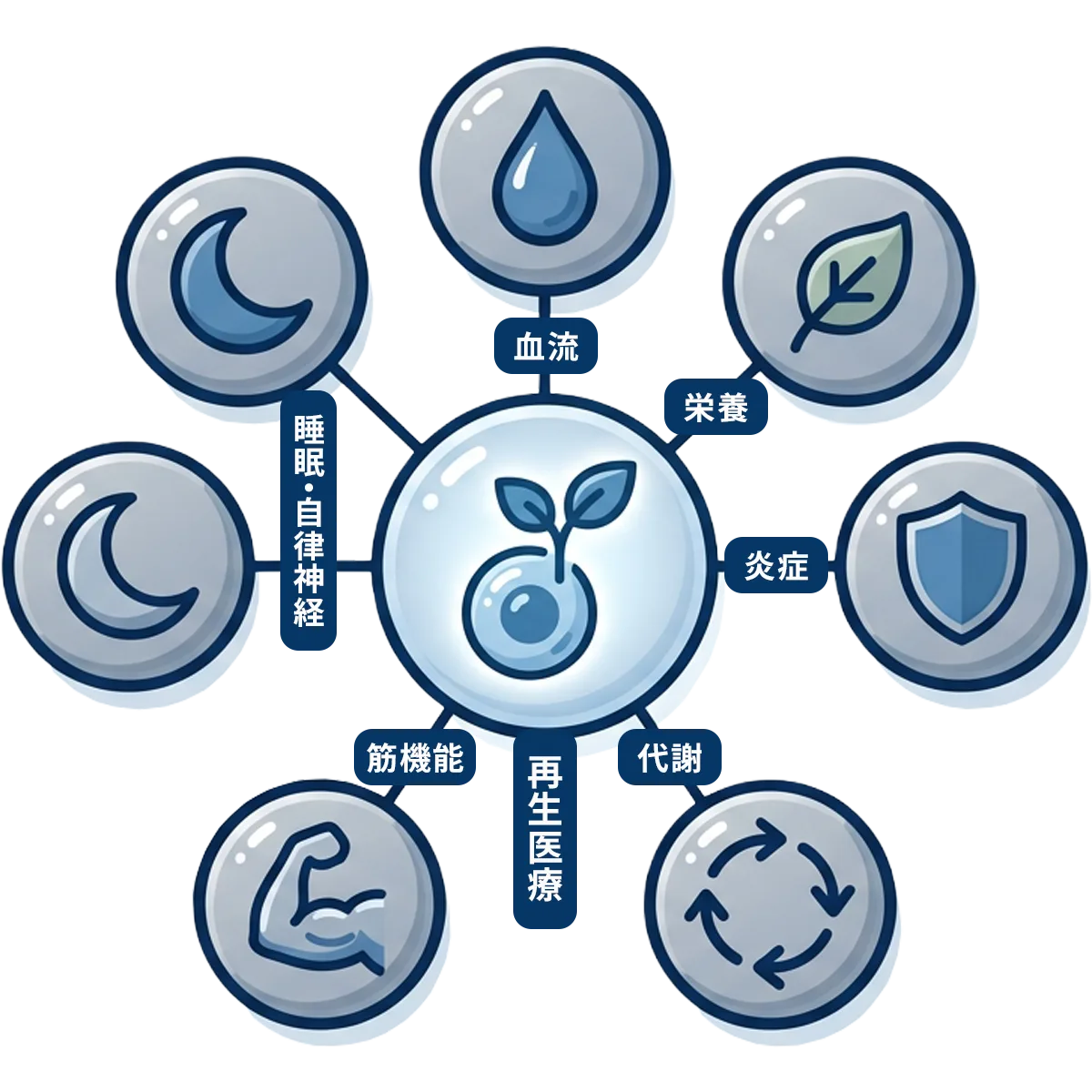 再生医療を中心に全身を整えるアプローチの概念図