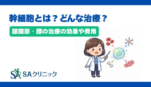 幹細胞とは？どんな治療？膝関節・腰の治療の効果や費用を解説