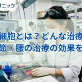 幹細胞とは？どんな治療？膝関節・腰の治療の効果や費用を解説