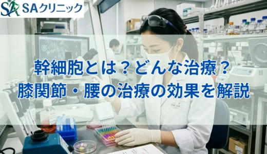 幹細胞とは？どんな治療？膝関節・腰の治療の効果や費用を解説