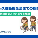 アキレス腱断裂が全治するまでの期間は?治療法別の目安とリハビリを解説