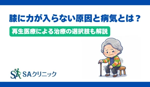 膝に力が入らない原因と病気とは？再生医療による治療の選択肢も解説