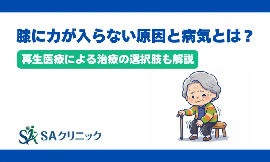 膝に力が入らない原因と病気とは？再生医療による治療の選択肢も解説